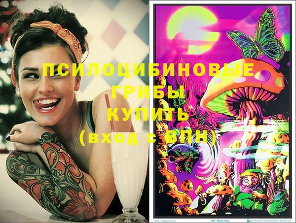 индика Балабаново