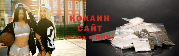 индика Балабаново