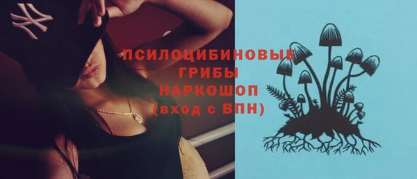 индика Балабаново