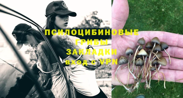 прущие крисы Баксан