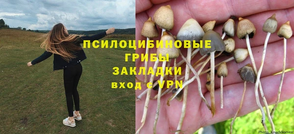 индика Балабаново