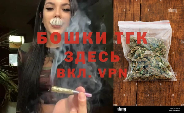 индика Балабаново