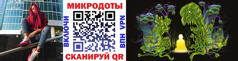 Псилоцибиновые грибы Psilocybine cubensis  Курильск 