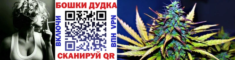 Конопля сатива Курильск